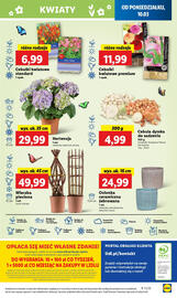 Lidl gazetka Strona 55