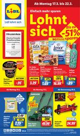 Lidl Prospekt woche 12 Seite 1