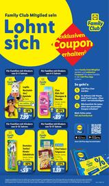 Lidl Prospekt woche 12 Seite 13