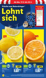 Lidl Prospekt woche 12 Seite 2