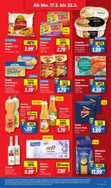 Lidl Prospekt woche 12 Seite 9