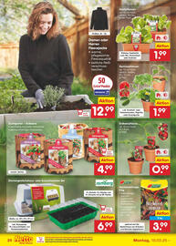 Netto Marken-Discount Prospekt Seite 36