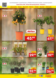 Netto Marken-Discount Prospekt Seite 39