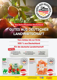 Netto Marken-Discount DE folder week 11 Pagina 13