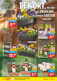 Netto Marken-Discount DE folder week 11 Pagina 34