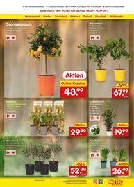 Netto Marken-Discount DE folder week 11 Pagina 39