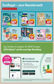 REWE Center Prospekt woche 11 Seite 27