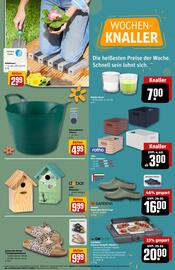 REWE Center Prospekt woche 11 Seite 31