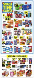 Dollar General Weekly Ad week 11 Page 3