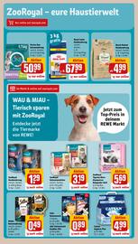 REWE City Prospekt woche 11 Seite 25