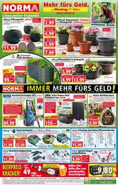 Norma Flugblatt woche 12 Seite 1