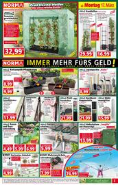 Norma Flugblatt woche 12 Seite 3