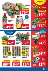 Lidl reklamblad vecka 11 Sida 20