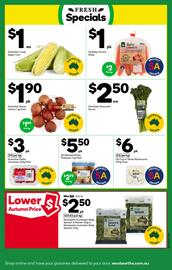 Woolworths catalogue week 11 Page 19