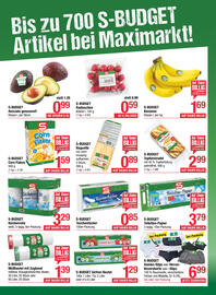 Maximarkt Flugblatt woche 11 Seite 13