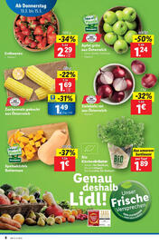 Lidl Flugblatt woche 11 Seite 10