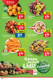 Lidl Flugblatt woche 11 Seite 40