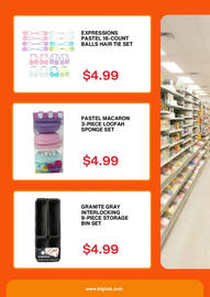 Big Lots Weekly Ad week 10 Page 3