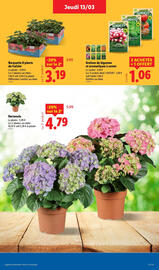 Catalogue Lidl semaine 11 page 29