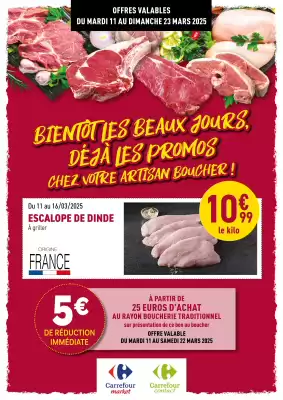 Catalogue Carrefour (valable jusqu'au 23-03)