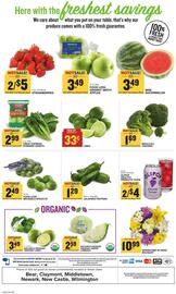 Food Lion Weekly Ad week 11 Page 13