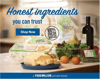 Food Lion Weekly Ad week 11 Page 4