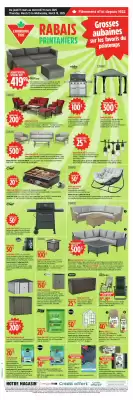 Canadian Tire flyer (valid until 20-03)