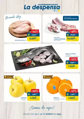 Folleto Supermercados La Despensa (válido hasta el 17-03)