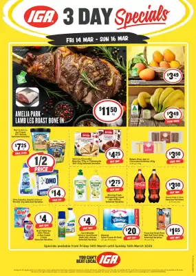 IGA catalogue (valid until 16-03)