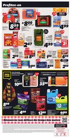 IGA flyer Page 2