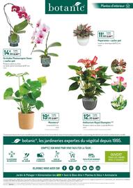 Catalogue Botanic page 6