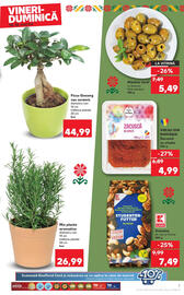 Catalog Kaufland Pagină 7