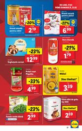 Catalog Lidl săptămâna 12 Pagină 17