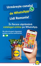 Catalog Lidl săptămâna 12 Pagină 65