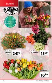 Catalog Lidl săptămâna 12 Pagină 66