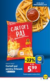 Catalog Lidl săptămâna 12 Pagină 73