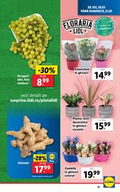 Catalog Lidl săptămâna 12 Pagină 75