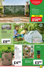 Lidl leaflet week 11 Page 17