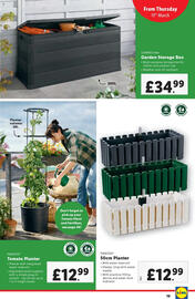 Lidl leaflet week 11 Page 19