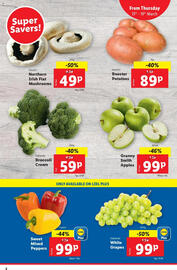 Lidl leaflet week 11 Page 2