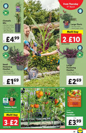 Lidl leaflet week 11 Page 23