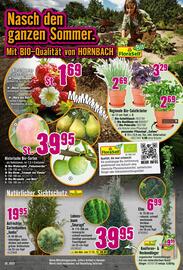 Hornbach Prospekt Seite 3