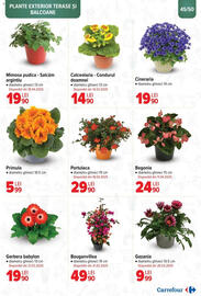 Catalog Carrefour Pagină 45