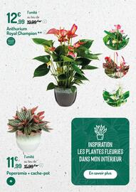 Catalogue Botanic page 13