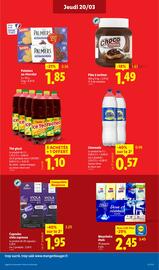 Catalogue Lidl semaine 12 page 13