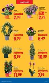 Catalogue Lidl semaine 12 page 29