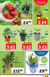 Lidl leaflet week 12 Page 23