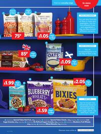 Lidl leaflet week 12 Page 9