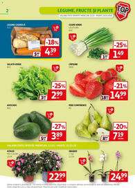 Catalog Auchan Pagină 2