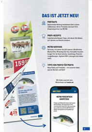 Metro Flugblatt Seite 33